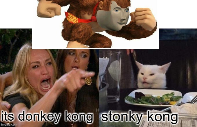 bruh ikd who is right | its donkey kong; stonky kong | image tagged in cat | made w/ Imgflip meme maker