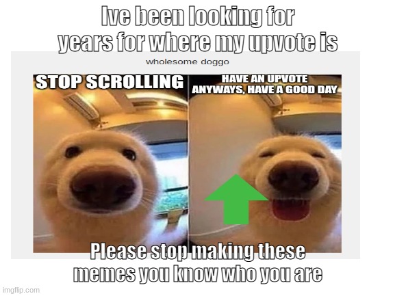 you have to agree | Ive been looking for years for where my upvote is; Please stop making these memes you know who you are | image tagged in true | made w/ Imgflip meme maker