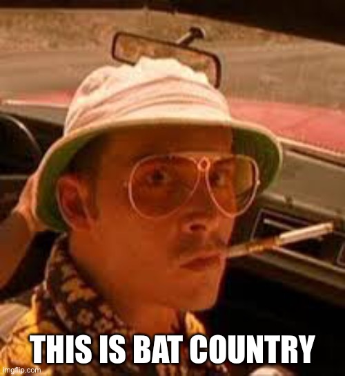 Bat country | THIS IS BAT COUNTRY | image tagged in bat country steak country | made w/ Imgflip meme maker