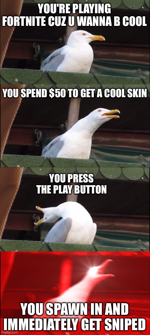 Inhaling Seagull Meme | YOU'RE PLAYING FORTNITE CUZ U WANNA B COOL; YOU SPEND $50 TO GET A COOL SKIN; YOU PRESS THE PLAY BUTTON; YOU SPAWN IN AND IMMEDIATELY GET SNIPED | image tagged in memes,inhaling seagull | made w/ Imgflip meme maker