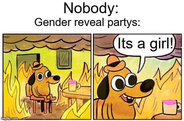 Woohoo! the house is burning down! | Nobody:; Gender reveal partys:; Its a girl! | image tagged in memes,this is fine,gender reveal,fire | made w/ Imgflip meme maker