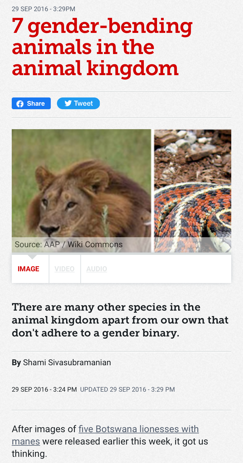 High Quality Gender-bending animals Blank Meme Template