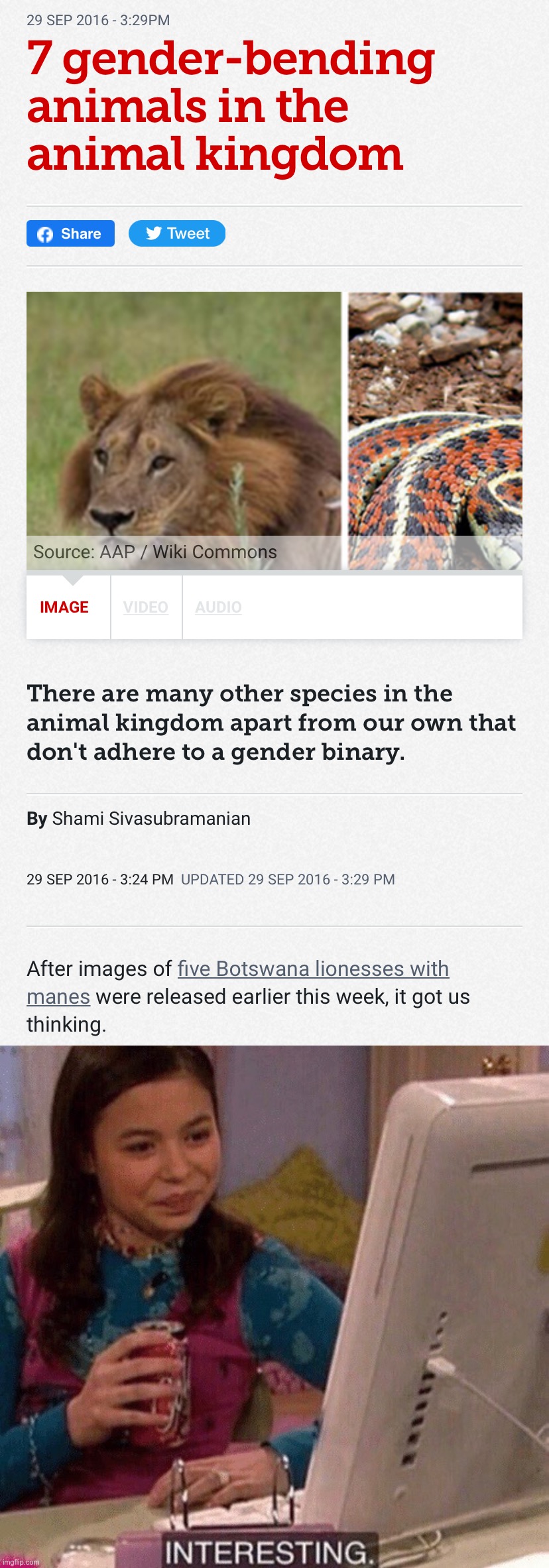 Lionesses with manes and much more! Isn’t science cool? | image tagged in gender-bending animals,icarly interesting | made w/ Imgflip meme maker