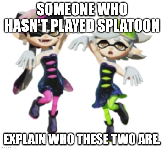 SOMEONE WHO HASN'T PLAYED SPLATOON; EXPLAIN WHO THESE TWO ARE. | made w/ Imgflip meme maker