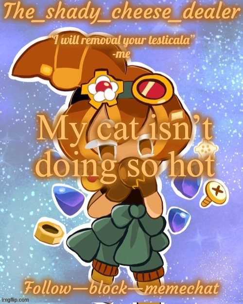 (That means he is dying) | My cat isn’t doing so hot | image tagged in shady s 8282628272th croissant temp ty doggo | made w/ Imgflip meme maker