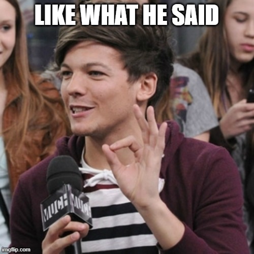 1D one does not simply | LIKE WHAT HE SAID | image tagged in 1d one does not simply | made w/ Imgflip meme maker