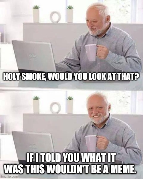 Hide the Pain Harold | HOLY SMOKE, WOULD YOU LOOK AT THAT? IF I TOLD YOU WHAT IT WAS THIS WOULDN'T BE A MEME. | image tagged in memes,hide the pain harold | made w/ Imgflip meme maker