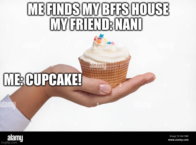 cupcake | ME FINDS MY BFFS HOUSE; MY FRIEND: NANI; ME: CUPCAKE! | image tagged in cupcake | made w/ Imgflip meme maker