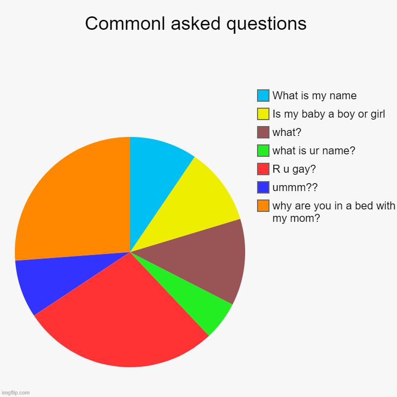 Commonl asked questions | why are you in a bed with my mom?, ummm??, R u gay?, what is ur name?, what?, Is my baby a boy or girl, What is my | image tagged in charts,pie charts | made w/ Imgflip chart maker