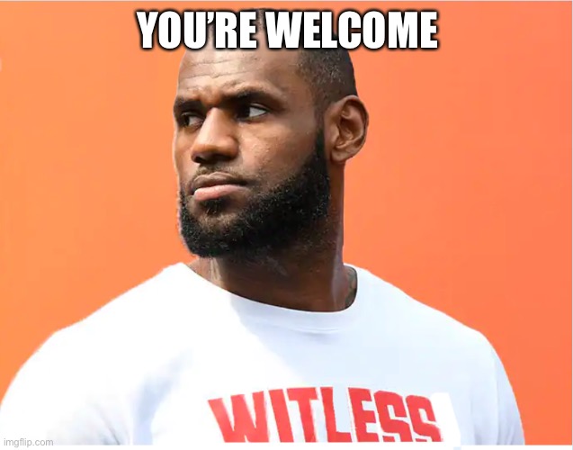 Witless | YOU’RE WELCOME | image tagged in witless | made w/ Imgflip meme maker