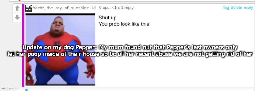 Ass | Update on my dog Pepper: My mum found out that Pepper's last owners only let her poop inside of their house so bc of her recent abuse we are not getting rid of her | image tagged in ass | made w/ Imgflip meme maker