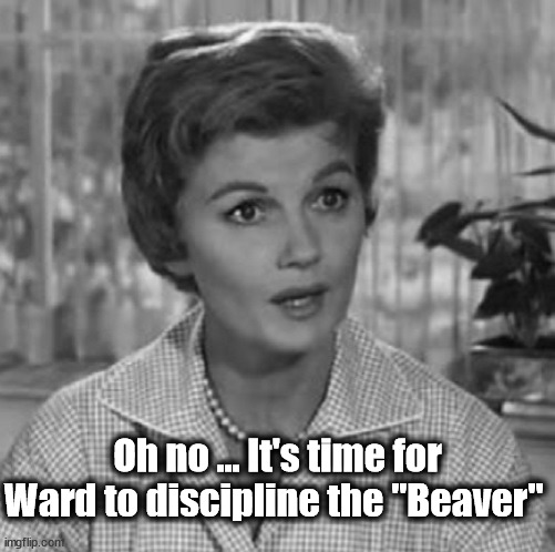 BEAVER TRAINING |  Oh no ... It's time for Ward to discipline the