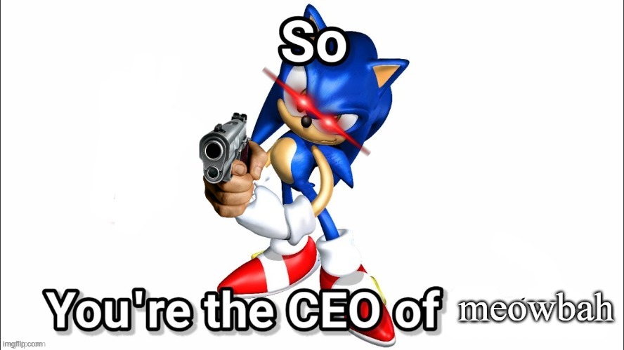 so you're the CEO of | meowbah | image tagged in so you're the ceo of | made w/ Imgflip meme maker