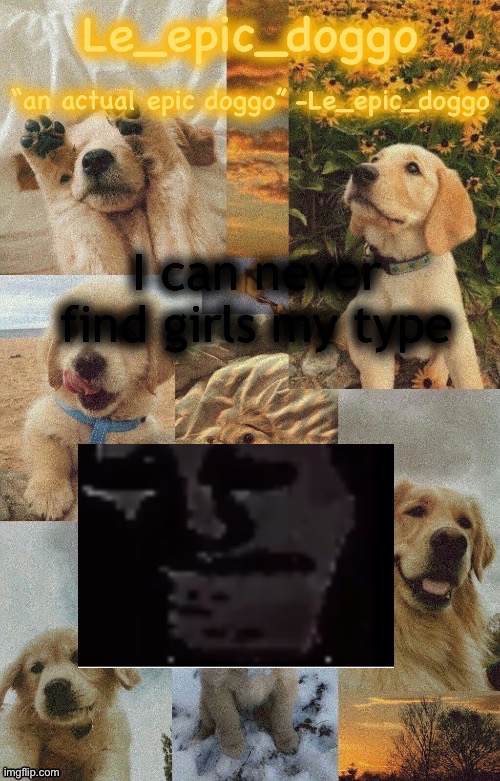 Doggo temp by doggo. Wait what that’s confusing | I can never find girls my type | image tagged in doggo temp by doggo wait what that s confusing | made w/ Imgflip meme maker