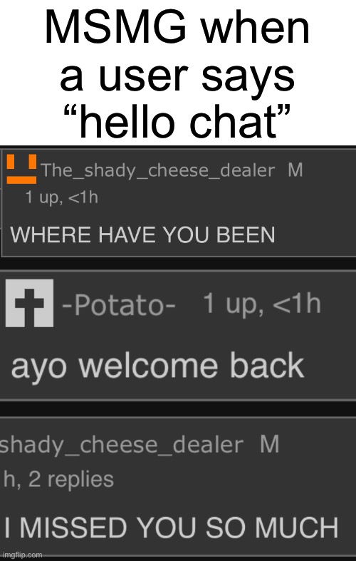 As if it’s so important for them to announce they’re back online | MSMG when
a user says
“hello chat” | made w/ Imgflip meme maker