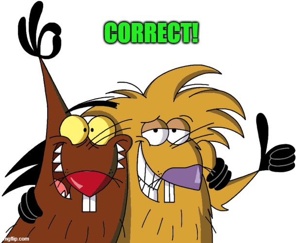 Beavers | CORRECT! | image tagged in beavers | made w/ Imgflip meme maker