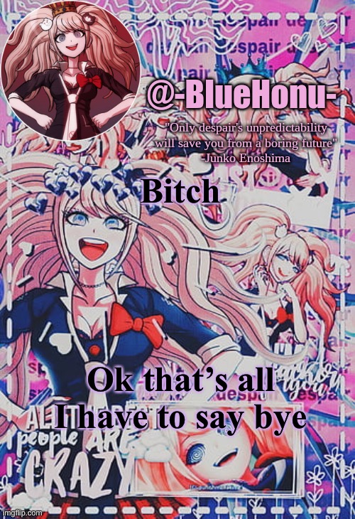 :) | Bitch; Ok that’s all I have to say bye | image tagged in honu's despair temp | made w/ Imgflip meme maker
