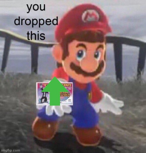Mario You dropped this | image tagged in mario you dropped this | made w/ Imgflip meme maker