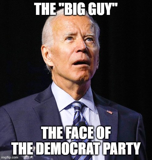 Joe Biden | THE "BIG GUY" THE FACE OF THE DEMOCRAT PARTY | image tagged in joe biden | made w/ Imgflip meme maker
