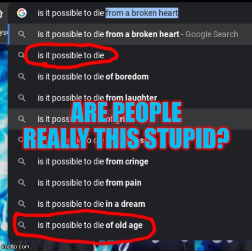 This just popped up in my google search suggestions. | ARE PEOPLE REALLY THIS STUPID? | image tagged in stupid,death,funny,google | made w/ Imgflip meme maker