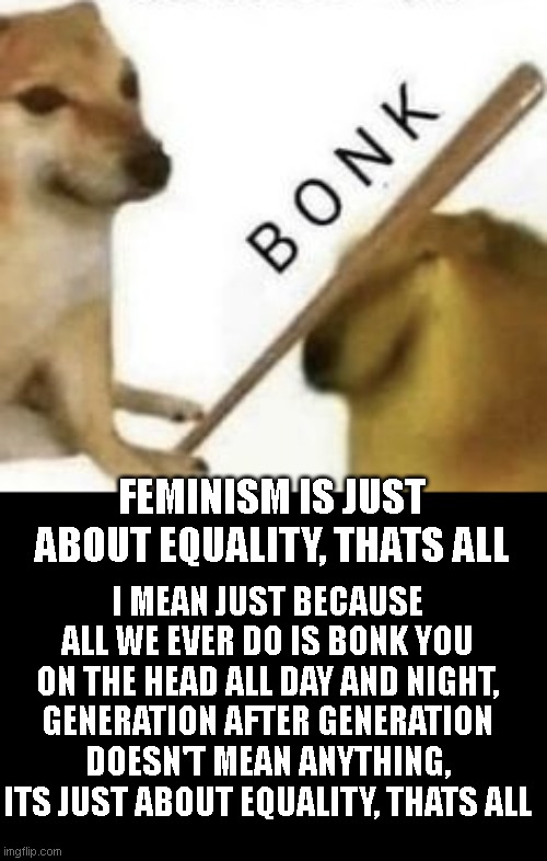 Bonk | FEMINISM IS JUST ABOUT EQUALITY, THATS ALL I MEAN JUST BECAUSE ALL WE EVER DO IS BONK YOU ON THE HEAD ALL DAY AND NIGHT, GENERATION AFTER GE | image tagged in bonk | made w/ Imgflip meme maker