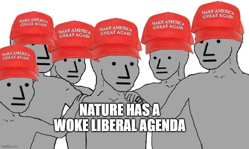 MAGA NPC | NATURE HAS A WOKE LIBERAL AGENDA | image tagged in maga npc | made w/ Imgflip meme maker