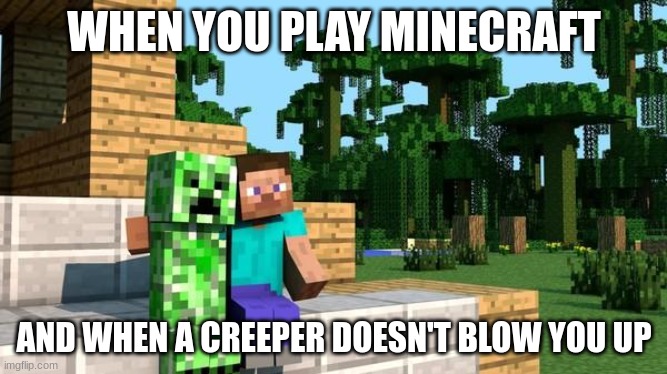 minecraft friendship | WHEN YOU PLAY MINECRAFT; AND WHEN A CREEPER DOESN'T BLOW YOU UP | image tagged in minecraft friendship | made w/ Imgflip meme maker