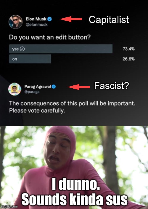 Capitalist; Fascist? I dunno. Sounds kinda sus | image tagged in politics lol,memes | made w/ Imgflip meme maker