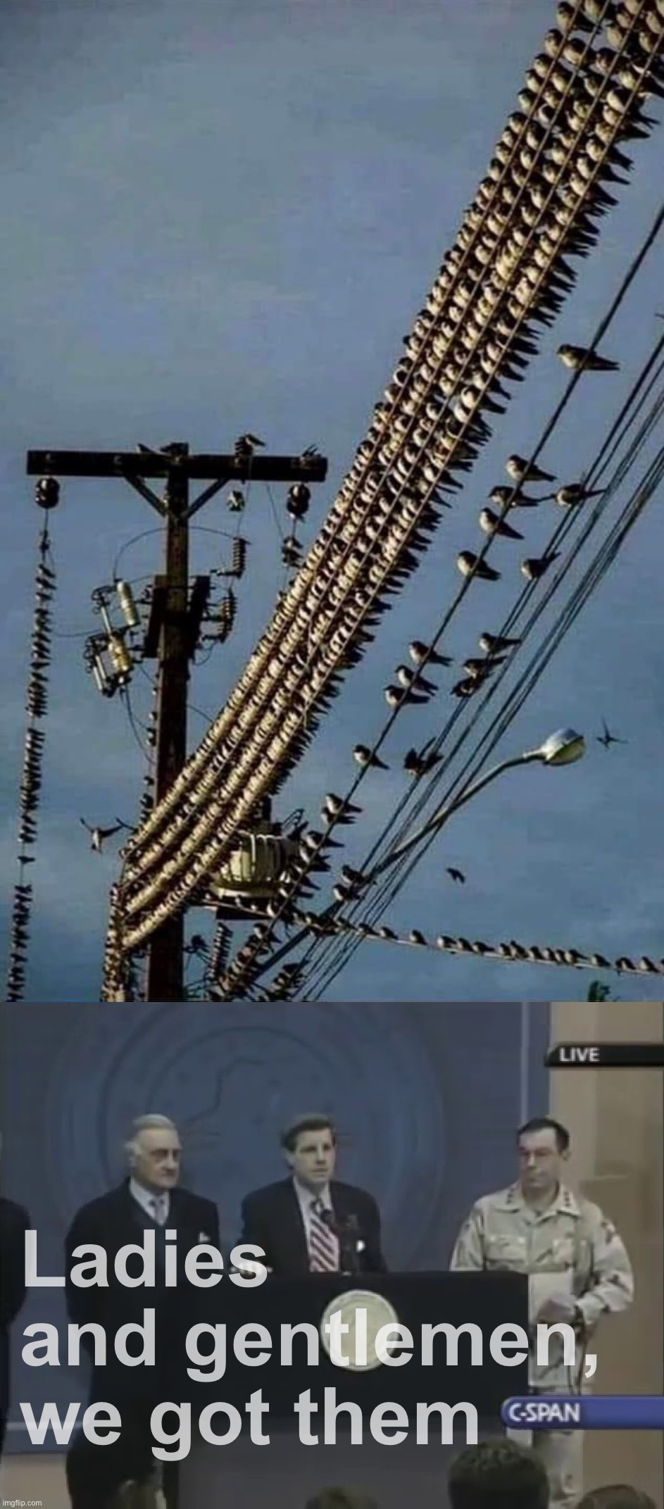 Footage of drones charging (Note: these are not birds) | Ladies and gentlemen, we got them | image tagged in drones,charging,these,are,not,birds | made w/ Imgflip meme maker