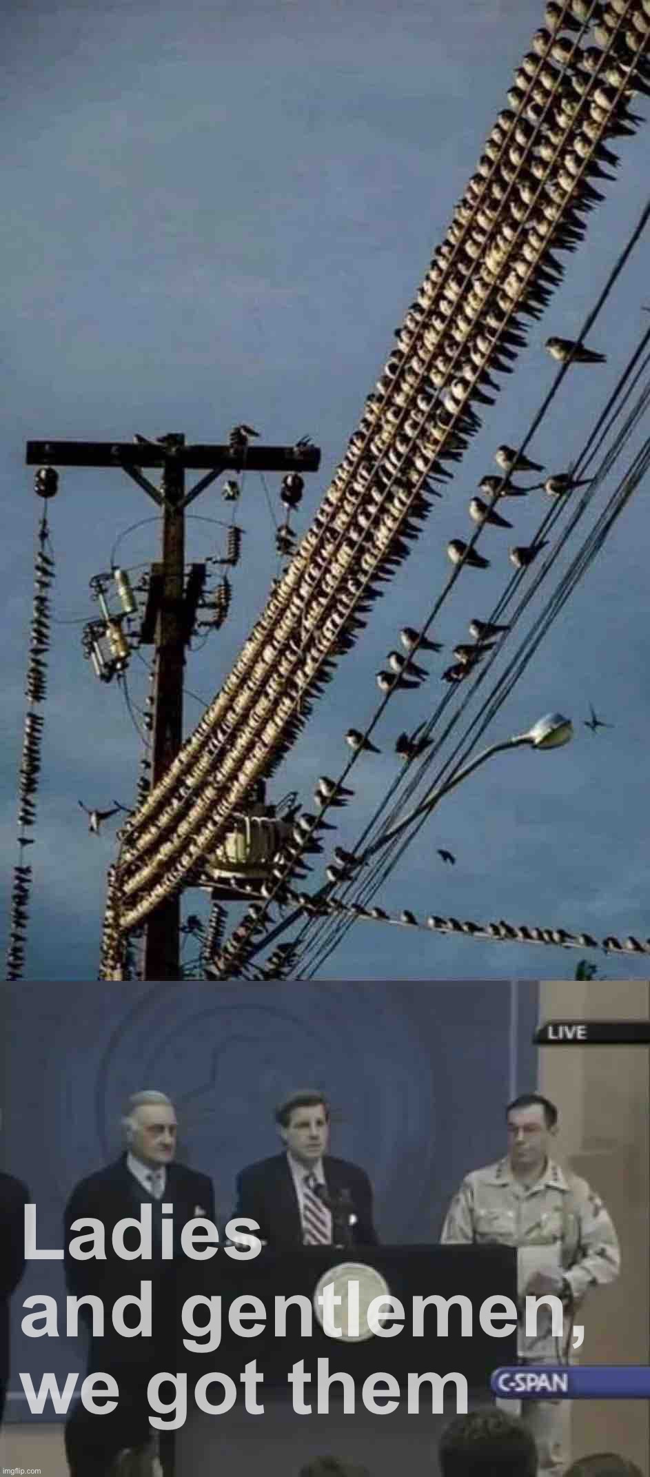 Footage of drones charging (Note: these are not birds) | Ladies and gentlemen, we got them | image tagged in drones,charging,these,are,not,birds | made w/ Imgflip meme maker