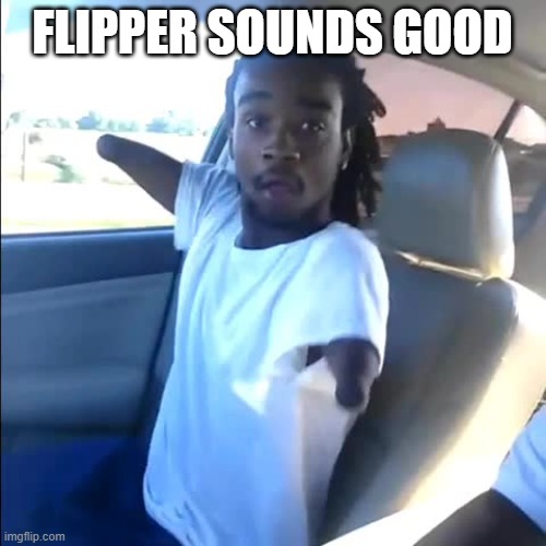 No Arms | FLIPPER SOUNDS GOOD | image tagged in no arms | made w/ Imgflip meme maker