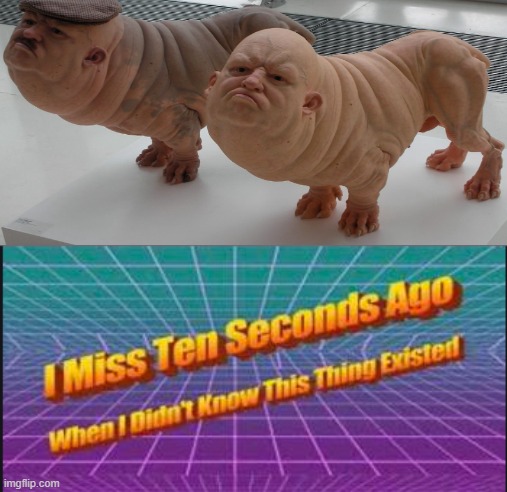 ummm | image tagged in i miss ten seconds ago when i didn't know this thing existed,memes,cursed image,memenade | made w/ Imgflip meme maker