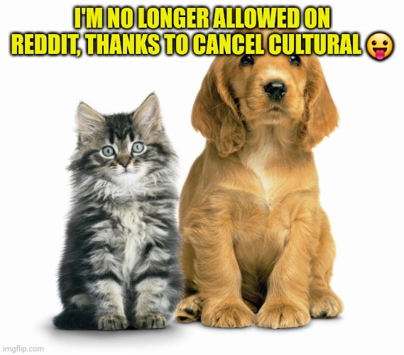 Thanks alot Obama | I'M NO LONGER ALLOWED ON REDDIT, THANKS TO CANCEL CULTURAL 😛 | image tagged in mother's day pets animals cats dogs adoption | made w/ Imgflip meme maker