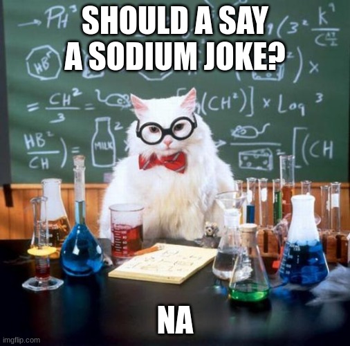 Chemistry Cat |  SHOULD A SAY A SODIUM JOKE? NA | image tagged in memes,chemistry cat | made w/ Imgflip meme maker