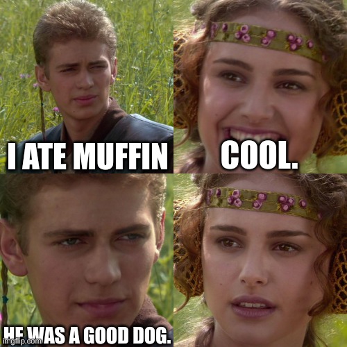 YIKES | I ATE MUFFIN; COOL. HE WAS A GOOD DOG. | image tagged in anakin padme 4 panel | made w/ Imgflip meme maker