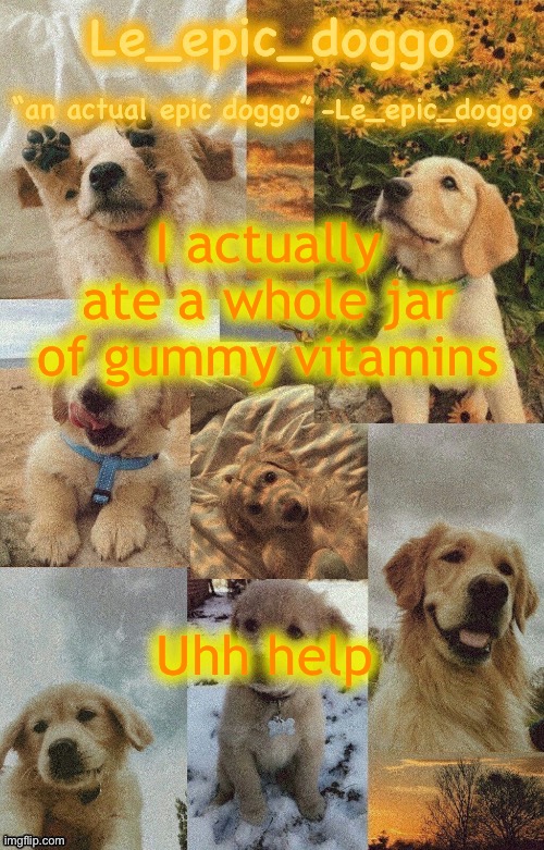 Doggo temp by doggo. Wait what that’s confusing | I actually ate a whole jar of gummy vitamins; Uhh help | image tagged in doggo temp by doggo wait what that s confusing | made w/ Imgflip meme maker