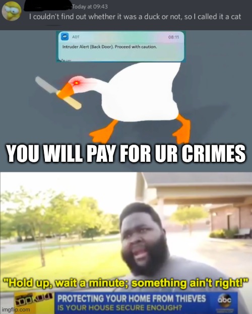 Gooose-cat | YOU WILL PAY FOR UR CRIMES | image tagged in goose with knife,hold up wait a minute something aint right,discord,funny,memes | made w/ Imgflip meme maker