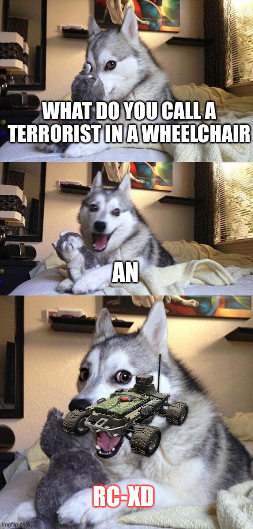 Call of duty joke | WHAT DO YOU CALL A TERRORIST IN A WHEELCHAIR; AN; RC-XD | image tagged in memes,bad pun dog,rcxd,call of duty,dog,husky | made w/ Imgflip meme maker