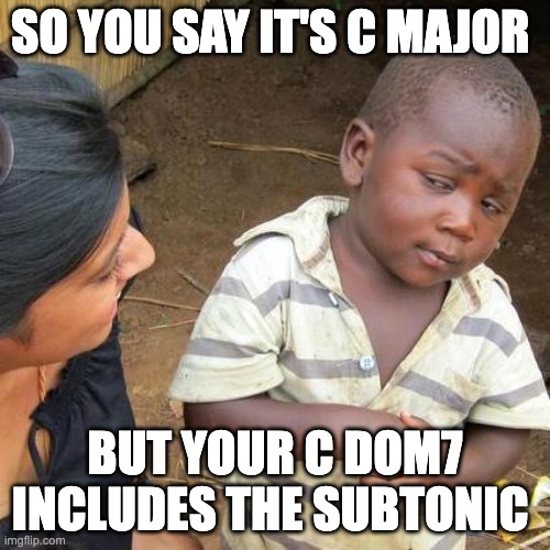 C dom7 | SO YOU SAY IT'S C MAJOR; BUT YOUR C DOM7 INCLUDES THE SUBTONIC | image tagged in memes,third world skeptical kid,music theory | made w/ Imgflip meme maker