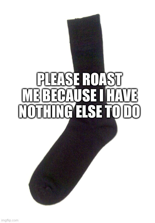 I want to be roasted |  PLEASE ROAST ME BECAUSE I HAVE NOTHING ELSE TO DO | image tagged in random sock,roast me,please,i want you to | made w/ Imgflip meme maker
