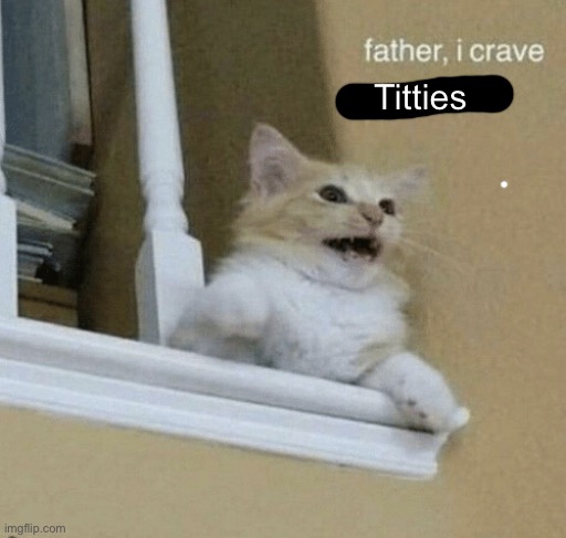 Wait I shouldn’t be asking father this  | Titties | image tagged in father i crave violence cat | made w/ Imgflip meme maker