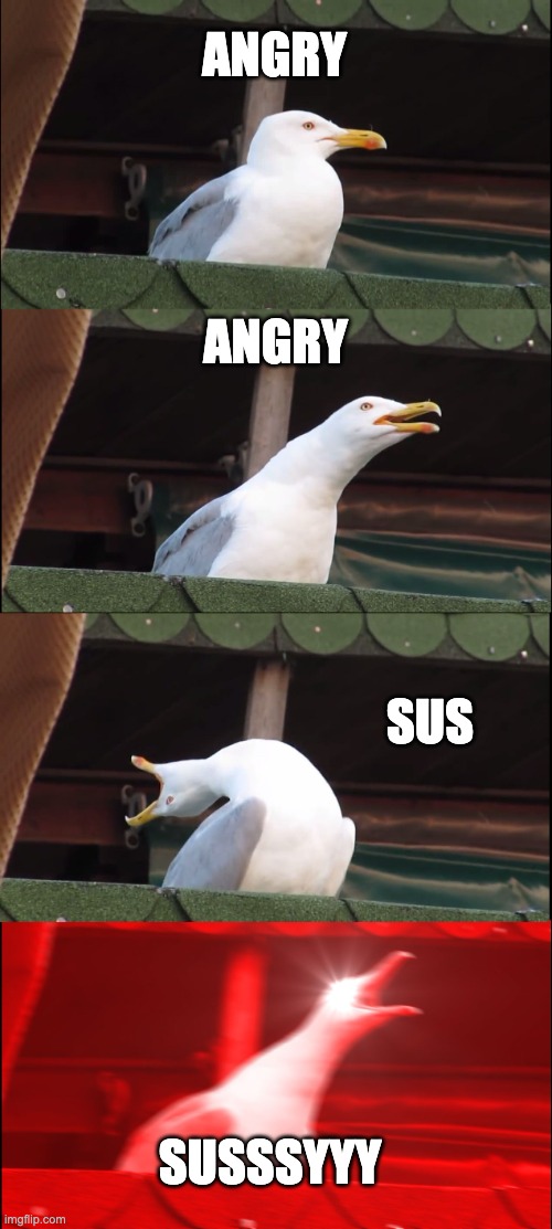 MEME2346 | ANGRY; ANGRY; SUS; SUSSSYYY | image tagged in memes,inhaling seagull | made w/ Imgflip meme maker