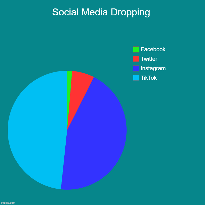 True Facts | Social Media Dropping | TikTok, Instagram, Twitter, Facebook | image tagged in charts,pie charts | made w/ Imgflip chart maker