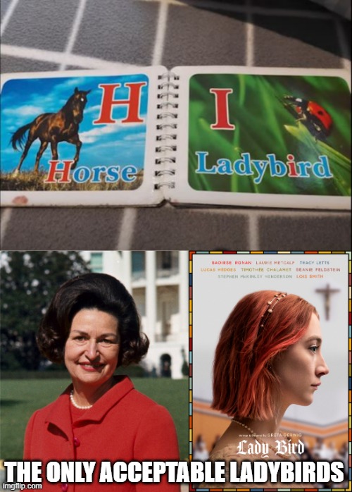 This Bugs Me | THE ONLY ACCEPTABLE LADYBIRDS | image tagged in you had one job | made w/ Imgflip meme maker