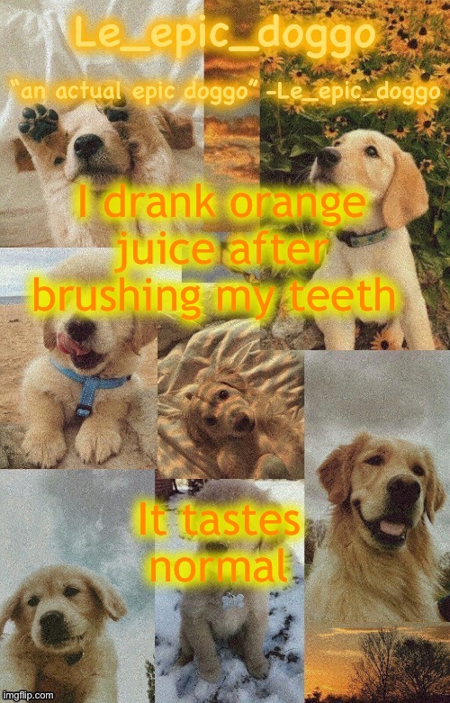 Doggo temp by doggo. Wait what that’s confusing | I drank orange juice after brushing my teeth; It tastes normal | image tagged in doggo temp by doggo wait what that s confusing | made w/ Imgflip meme maker