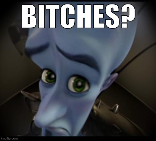 Megamind peeking | BITCHES? | image tagged in no bitches | made w/ Imgflip meme maker