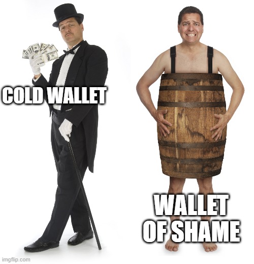 Cold vs Hot Wallet | COLD WALLET; WALLET OF SHAME | image tagged in nft | made w/ Imgflip meme maker