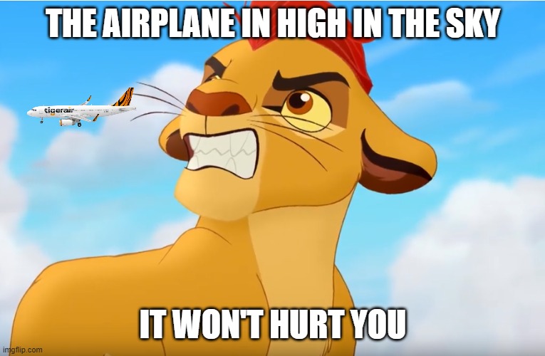 Help me calm the baby down | THE AIRPLANE IN HIGH IN THE SKY; IT WON'T HURT YOU | image tagged in kion the snowflake,memes,president_joe_biden | made w/ Imgflip meme maker