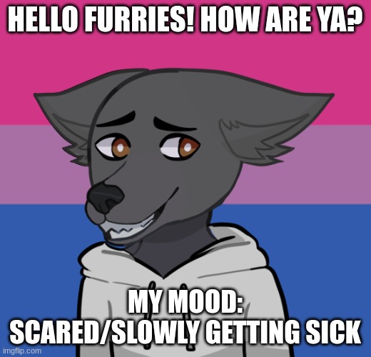 Desc of my mood in the comms! | HELLO FURRIES! HOW ARE YA? MY MOOD: SCARED/SLOWLY GETTING SICK | image tagged in furry,furry memes,the furry fandom,xd | made w/ Imgflip meme maker
