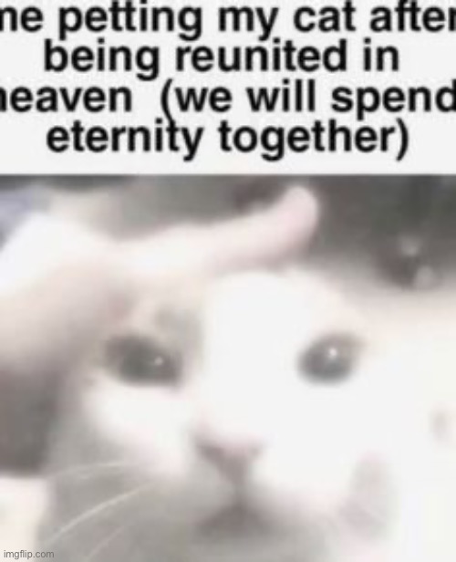 “It’s alright, we’ll be here, just the two of us, okay?..” | made w/ Imgflip meme maker